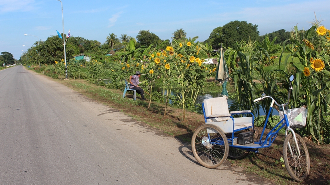ไม่ย่อท้อต่อโชคชะตา! หนุ่มพิการนั่งรถเข็น ปลูกผักขาย หาเลี้ยงชีวิต