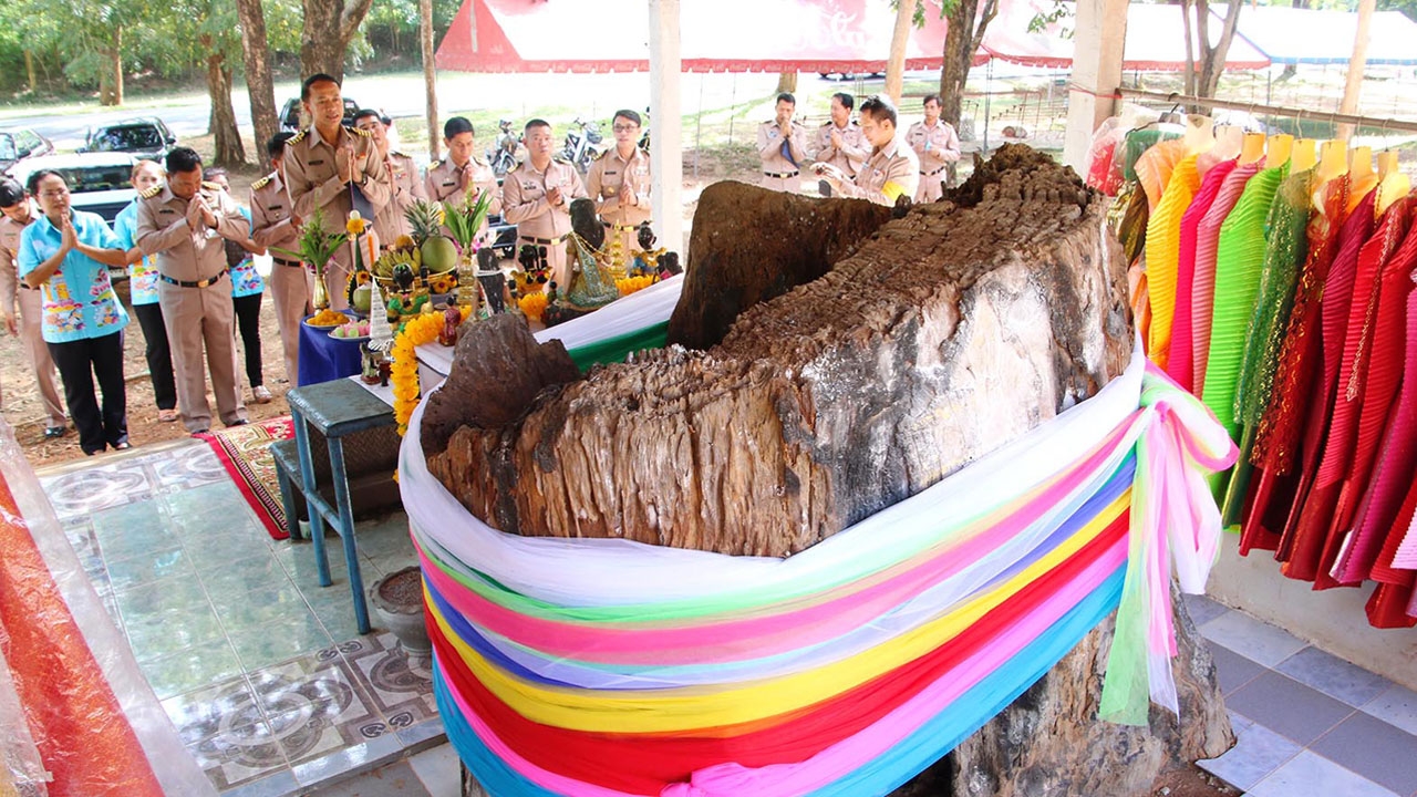 ทหารเรือ-ประชาชน ร่วมทำพิธีบวงสรวง แห่ ขอพรเจ้าแม่ตะเคียนทอง