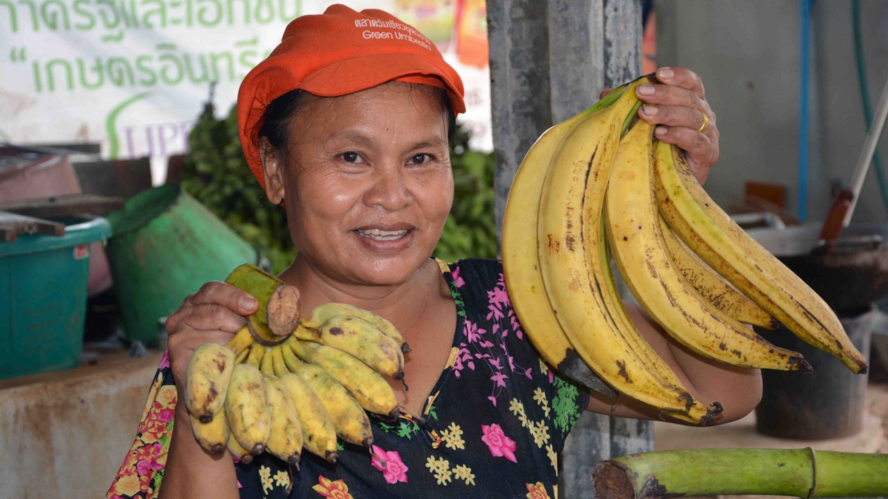 ชาวอุดรฯ ตะลึง 'กล้วยงวงช้าง' ใหญ่ยาวเนื้อแน่น คนแห่ซื้อกินไม่พอขาย