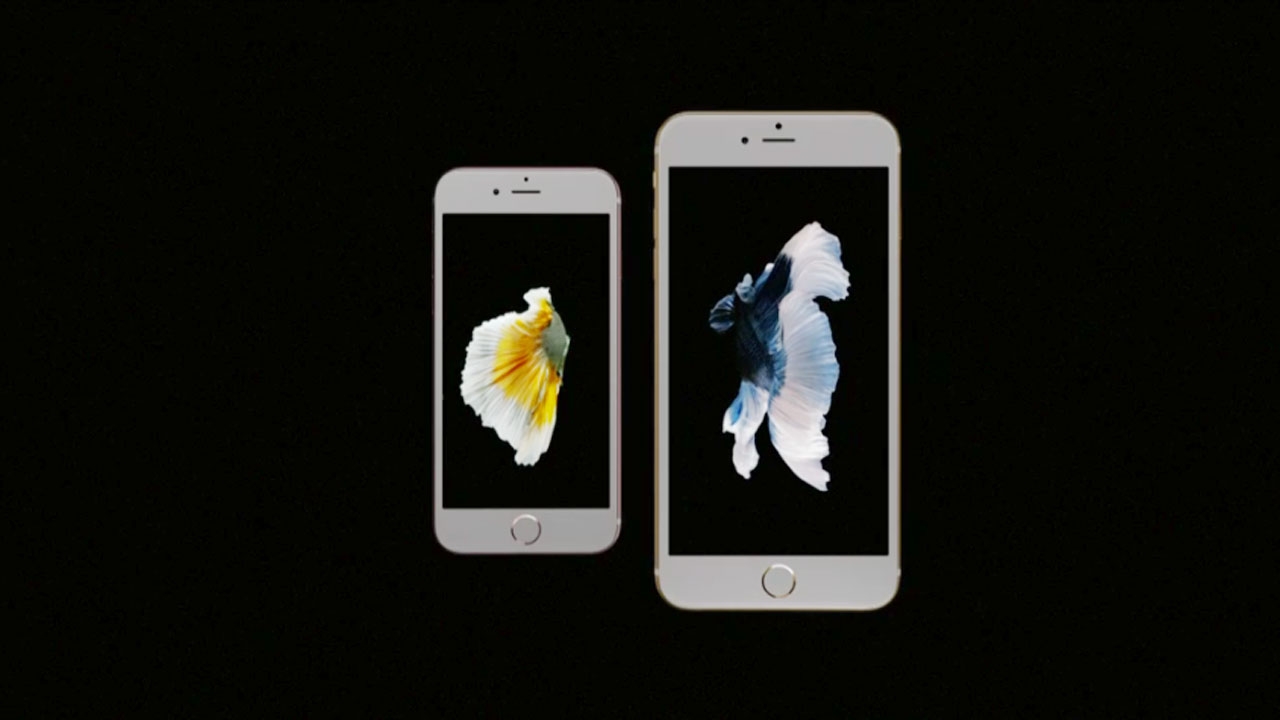 ภูมิใจที่คนไทยทำได้ เบื้องหลังภาพปลากัดบนไอโฟน 6S ขอบคุณทุกกำลังใจ 