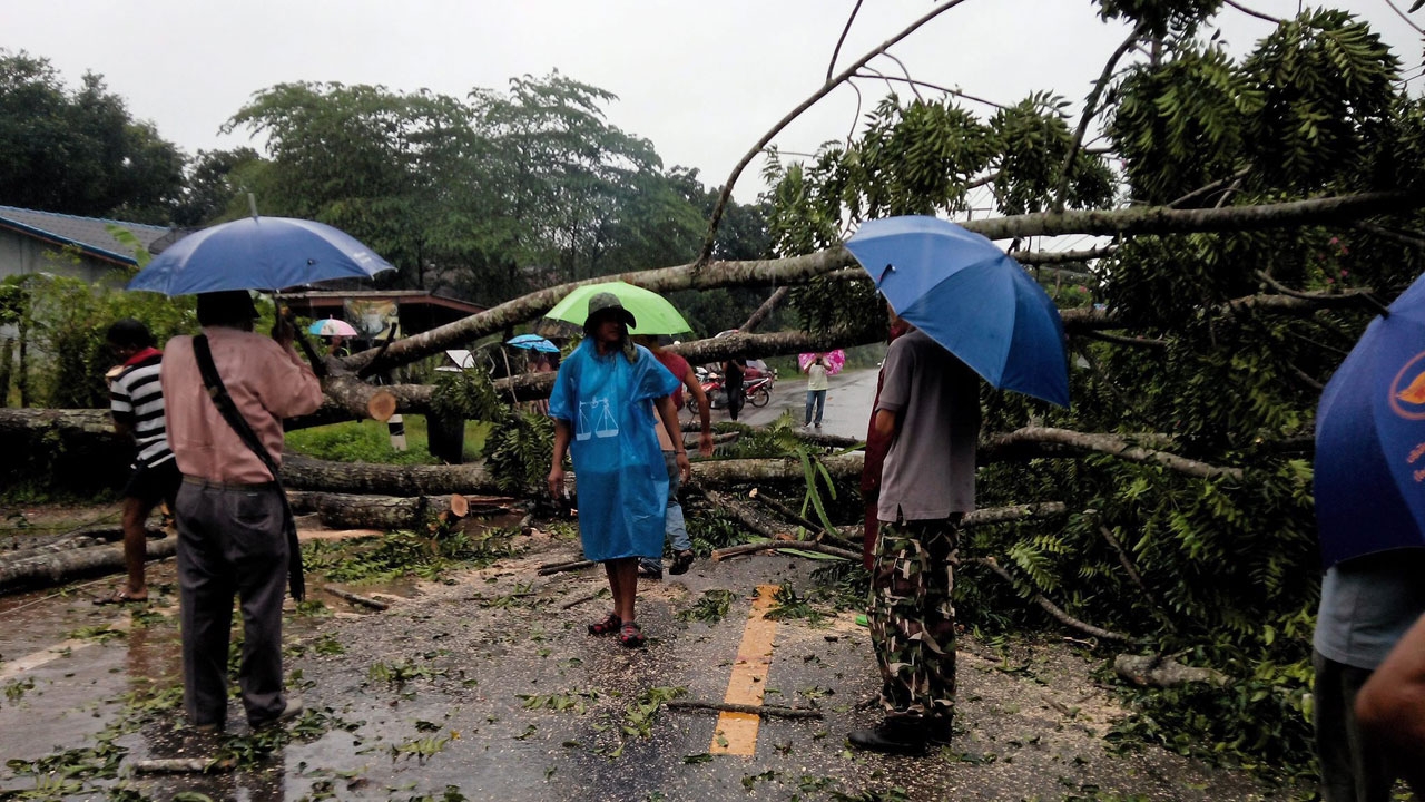 พายุฝนถล่มสตูล ต้นไม้ล้มขวางถนน-ทับบ้านพังเสียหาย