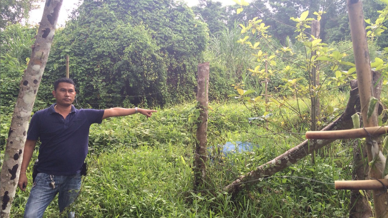 ติดสี่คูณร้อย ถึงตาย! ย่องลักใบกระท่อม เจ้าของปล่อยไฟช็อตดับ   