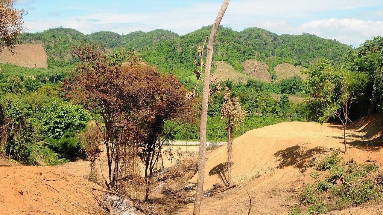 ป่าไม้เปิดยุทธการ ทวงป่า4แสนไร่  10จุดป่าสงวน ต้นน้ำ‘ป่าสัก’ ถูกบุกทำลาย
