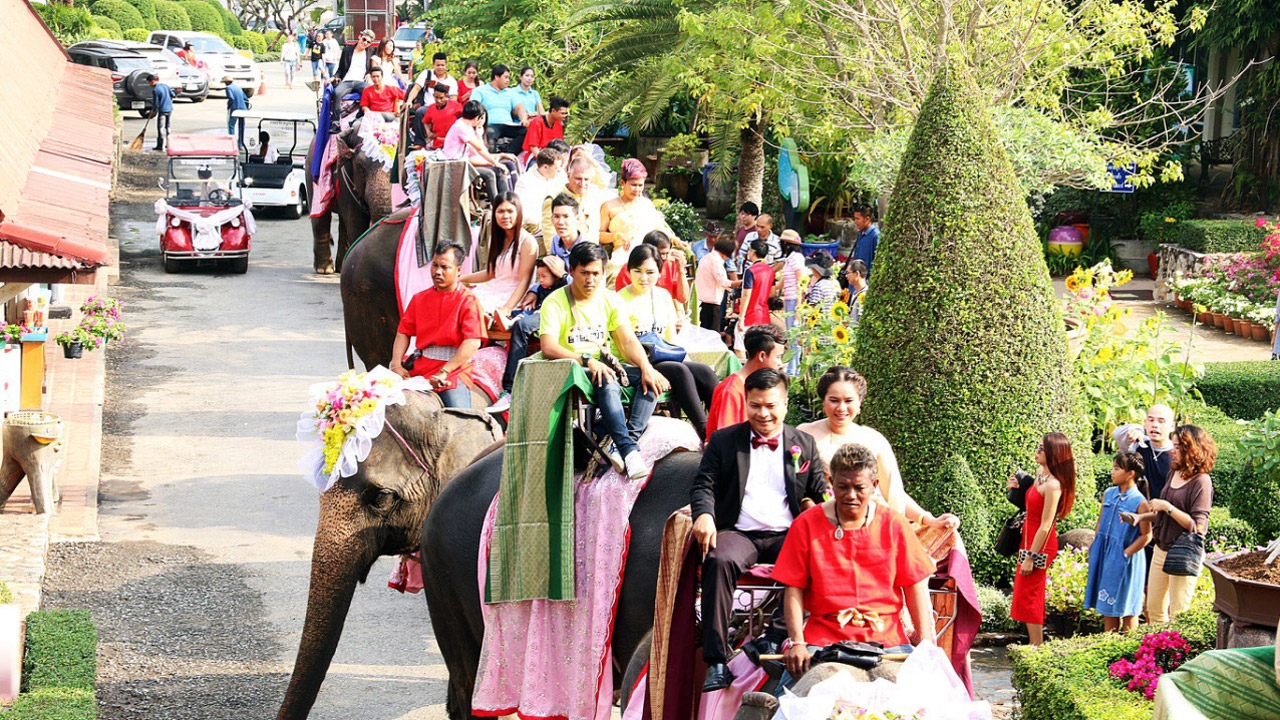 สวนนงนุชพัทยา จัดพิธีจดทะเบียนสมรสบนหลังช้างให้คู่รัก 100 คู่