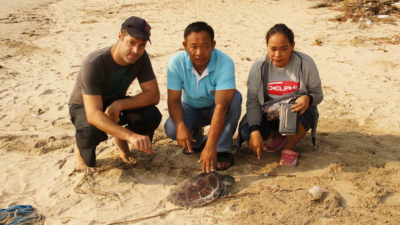  พบอีกแล้ว! เต่าตนุ ติดซากอวนเรือประมง นทท.ต่างชาติรีบช่วยแต่ไม่ทัน