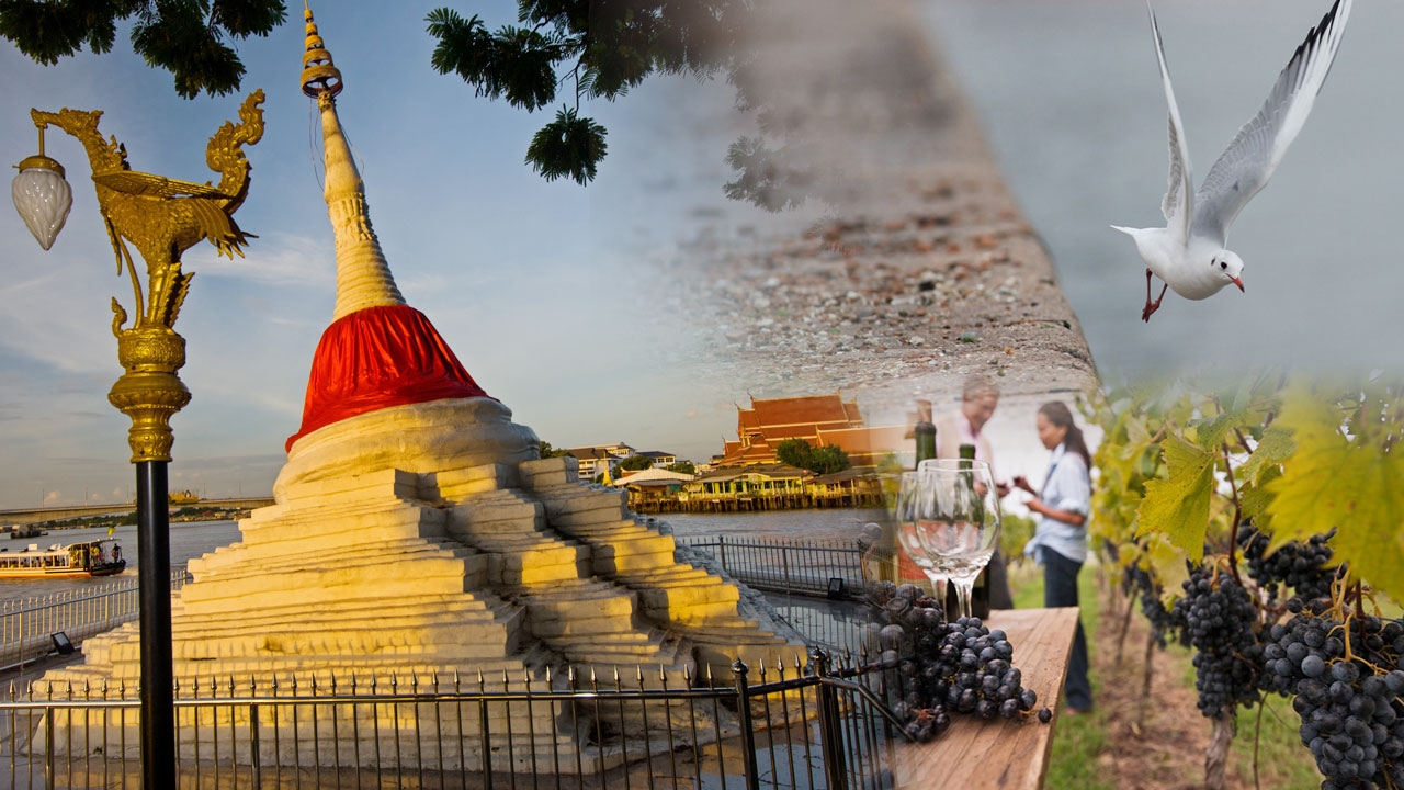 หนึ่งชั่วโมงก็ถึงที่! คู่มือส่อง 5 น่าเที่ยว 'ฤดูหนาว' ฟินใกล้กรุงเทพ สวยต้องไป!