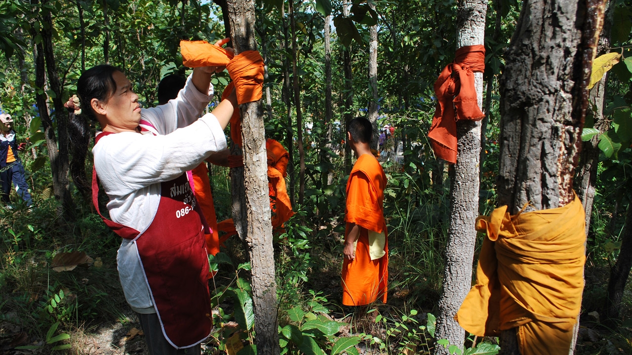 บวชป่าถวาย-สู้ตายต้านเหมืองแร่