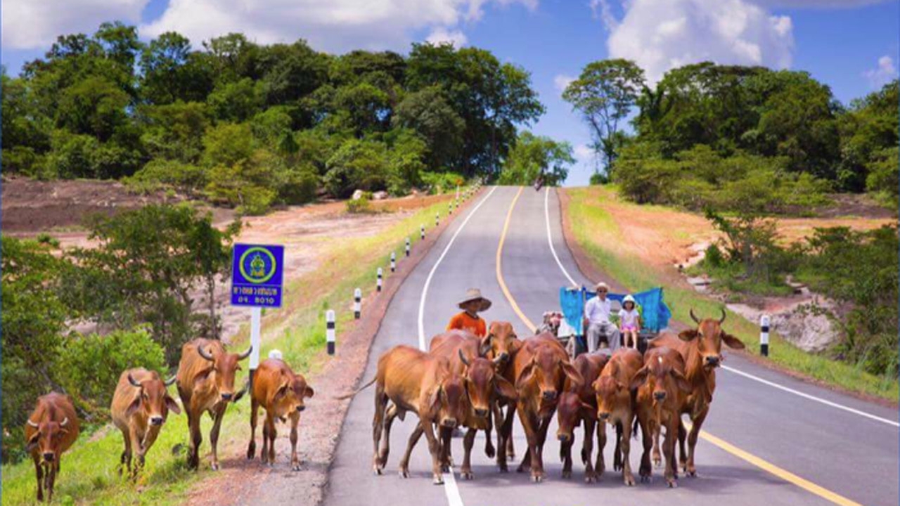 ‘ถนนบ้านนอก บอกเล่าวิถีชีวิต’ ภาพอันคุ้นเคยของใครหลายคน  