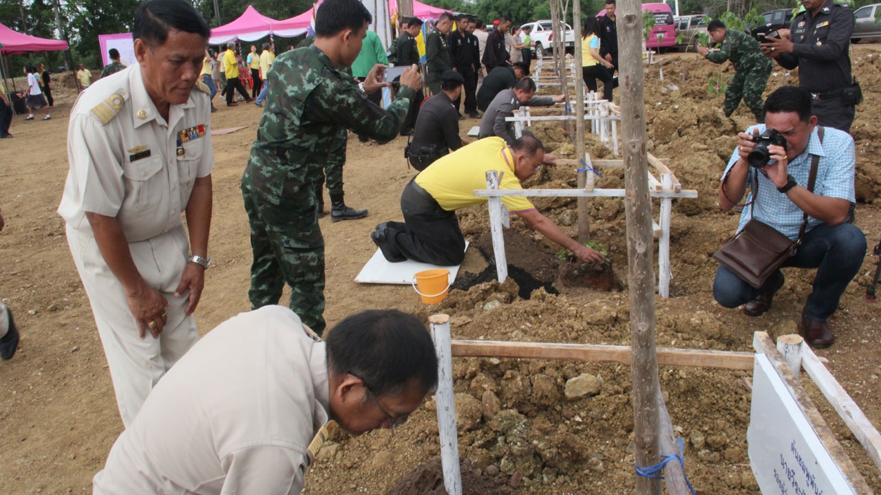 อุตรดิตถ์ปลูกชมพูพันธุ์ทิพย์ 70 ต้น ถวาย 'ในหลวง' พร้อมมอบทุน นร.ยากจน