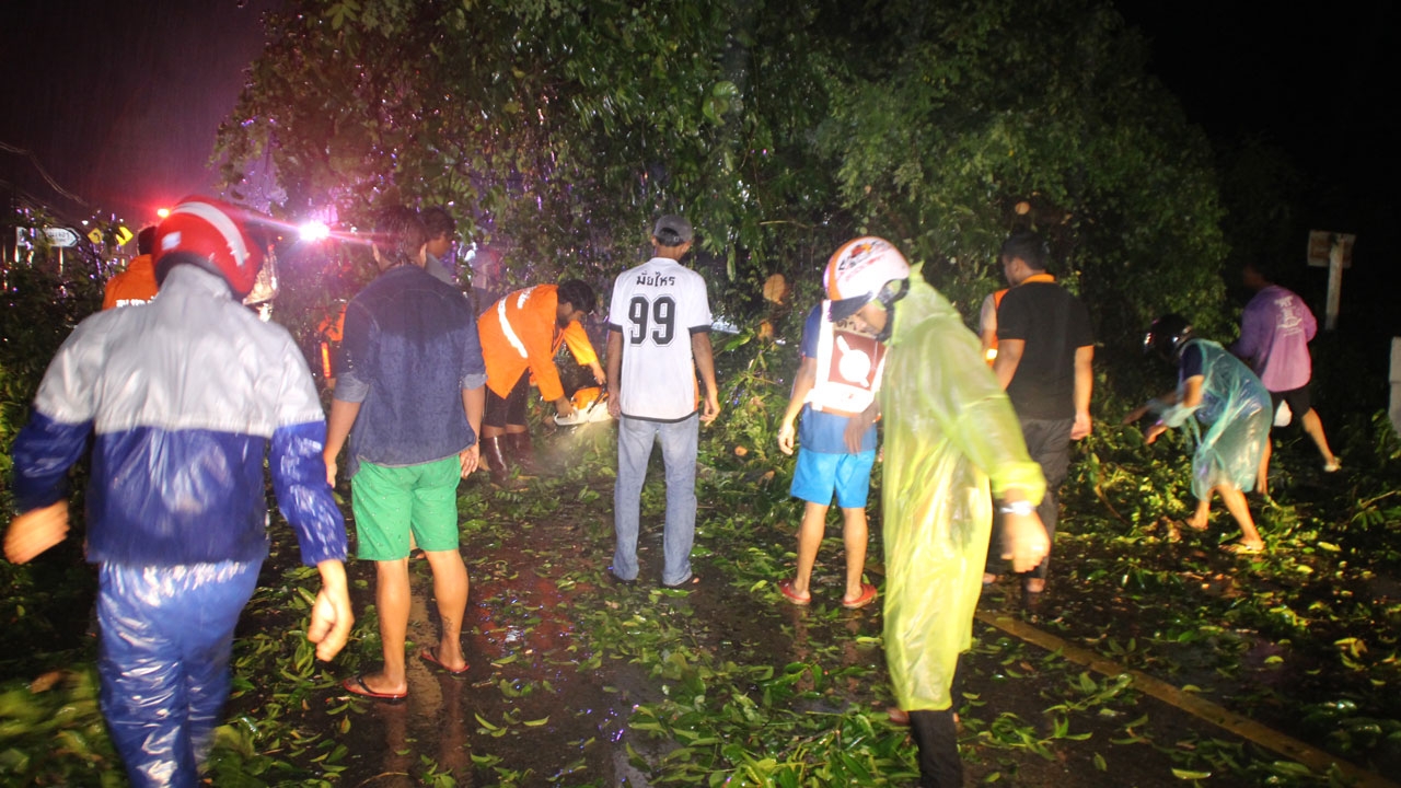 ตะกั่วป่าอ่วม พายุฝนถล่ม ต้นไม้โค่นขวางถนน จร.อัมพาต 2 ชม.-ถนนทรุด