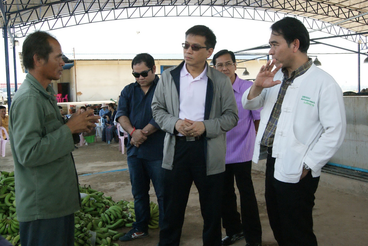 จีนตั้งนอมินีคนไทยส่งกล้วยหอมขาย