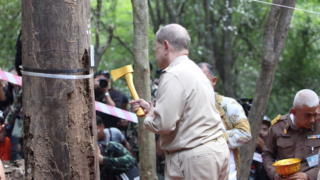 พิธีสำคัญผ่านพ้น บวงสรวงตัดจันทน์หอมป่ากุยบุรี 12 ต้น สร้างพระบรมโกศ