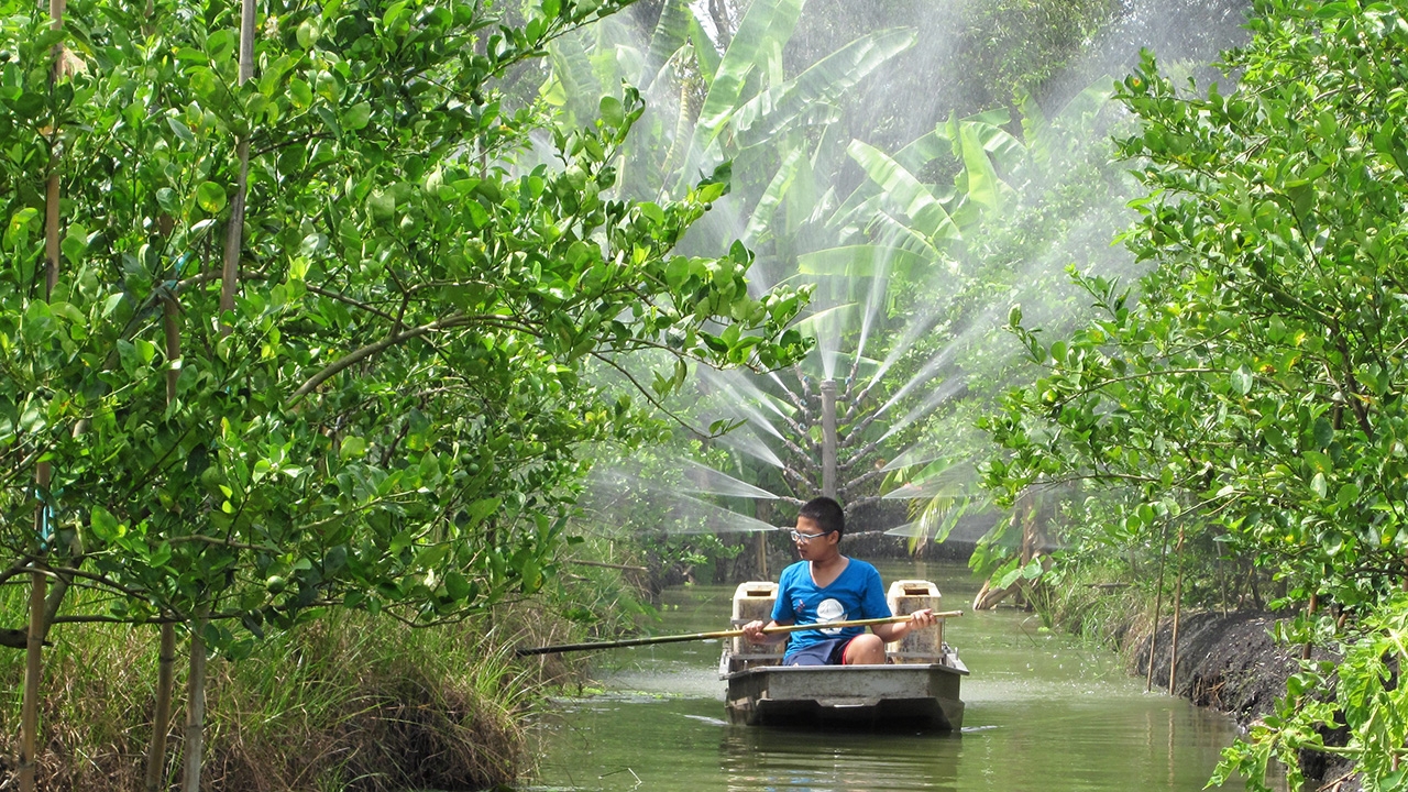 เรือรดน้ำพ่นยา17หัวฉีด คนสวนคิดเอง 52,000บ.