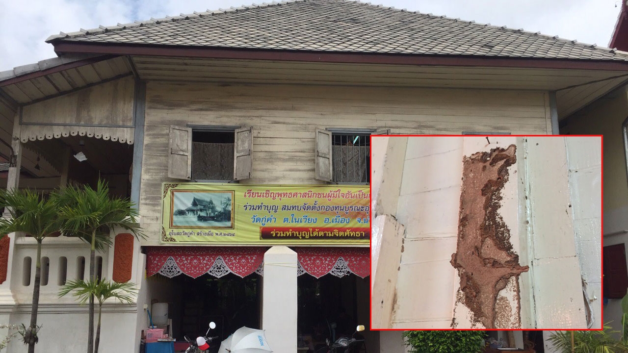 จนปัญญา! วัดกู่คำ วอน ช่วยกำจัดปลวก กินอาคารพิพิธภัณฑ์ อายุกว่า100 ปี