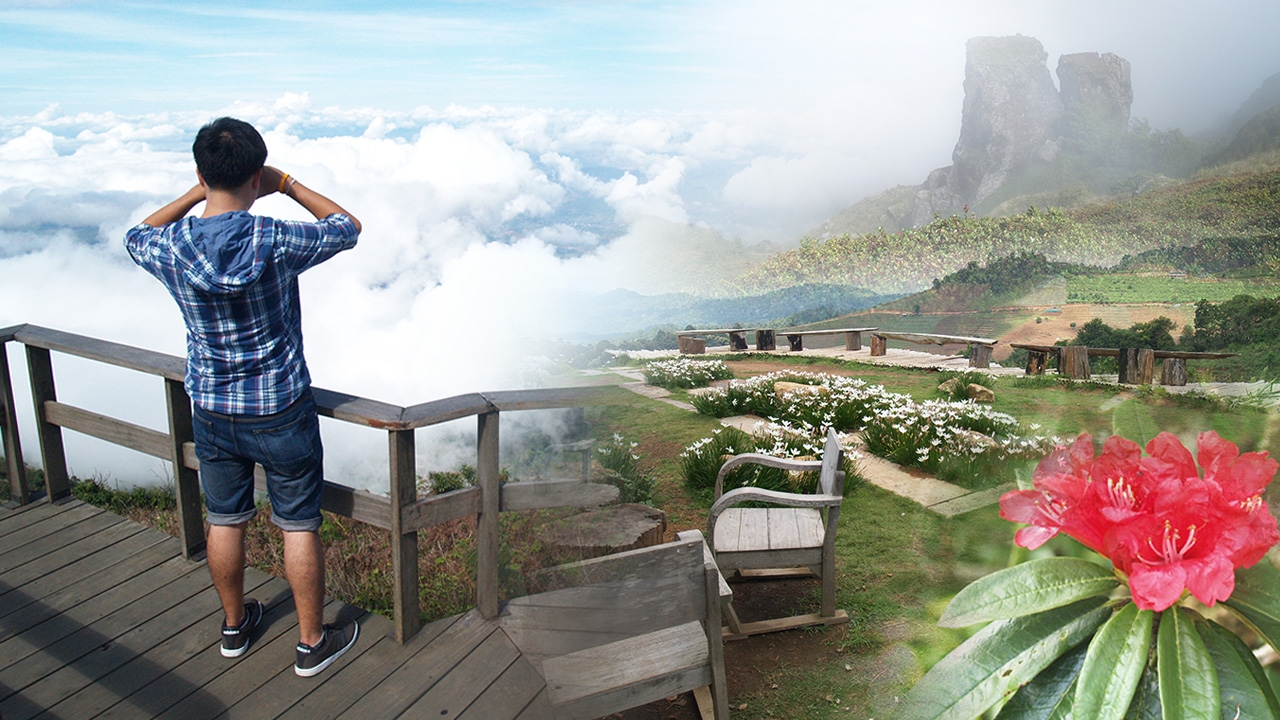 หนาวนี้ไปไหน! ส่อง 'ภูทับเบิก' และ 4 แหล่งชมทะเลหมอกอากาศเย็นฉ่ำปลายปี