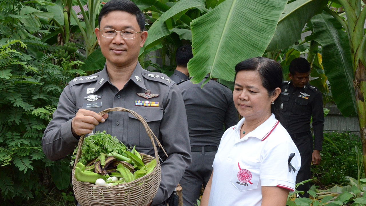 โรงพักพอเพียง สภ.มะเริง ปลูกผักสวนครัว 10 ปี ให้ตำรวจดูแล-เก็บกิน