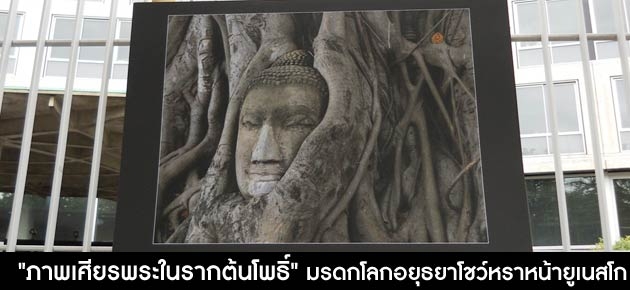 "ภาพเศียรพระในรากต้นโพธิ์" มรดกโลกอยุธยาโชว์หราหน้ายูเนสโก