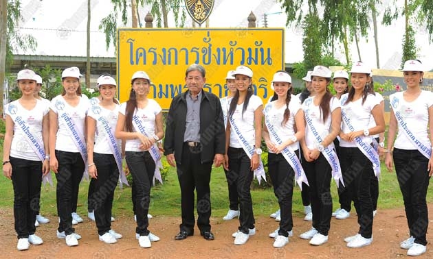 ชั่งหัวมัน โครงการพระราชดำริ ล่าสุด ต้นแบบความสำเร็จในการช่วยเหลือเกื้อกูลกัน