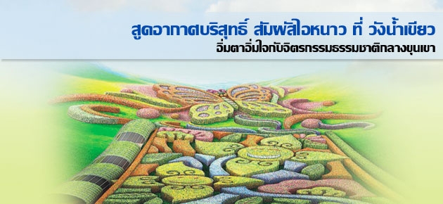 สูดอากาศบริสุทธิ์ สัมผัสไอหนาว ที่ วังน้ำเขียว อิ่มตาอิ่มใจกับจิตรกรรมธรรมชาติกลางขุนเขา