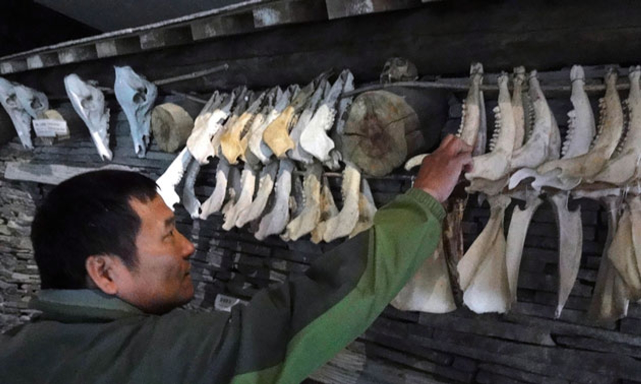 โลกาภิวัตน์ 23/04/54