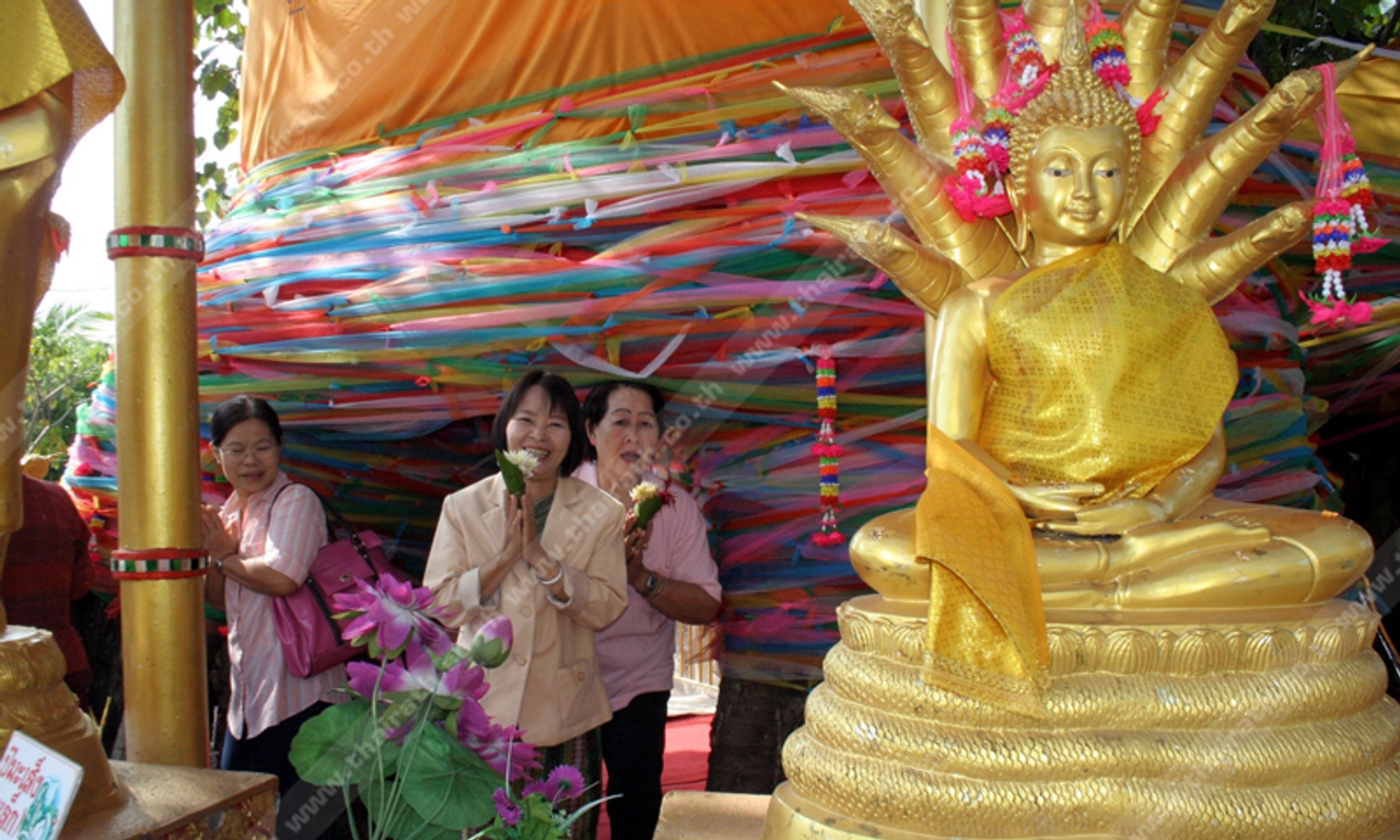 ชาวเชียงใหม่แห่ไหว้ศรีมหาโพธิ์แฝดยักษ์หาเลขเด็ดรับปีใหม่