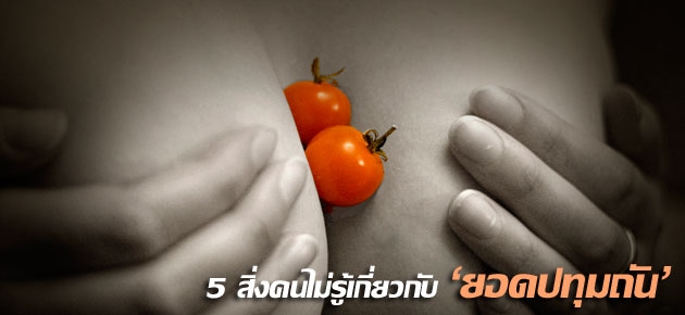 5 สิ่งคนไม่รู้เกี่ยวกับ'ยอดปทุมถัน'