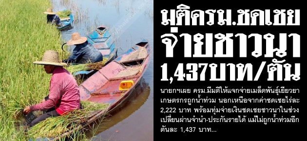 มติครม.ชดเชย จ่ายชาวนา 1,437บาท/ตัน