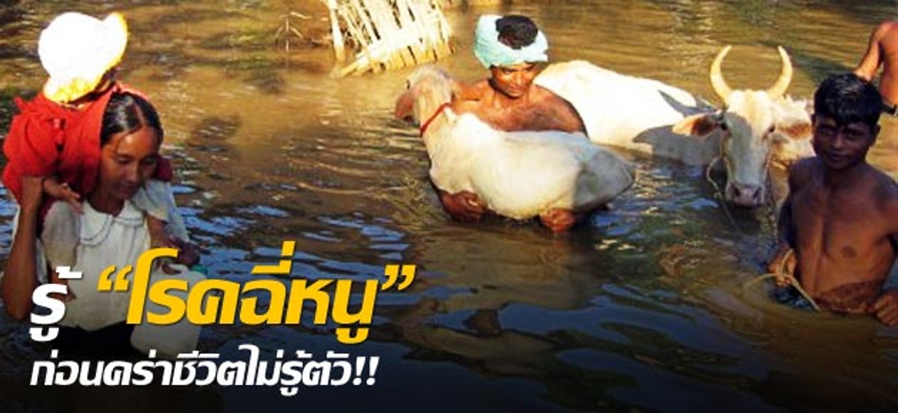 รู้"โรคฉี่หนู"ก่อนคร่าชีวิต