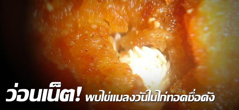 ว่อนเน็ต!พบไข่แมลงวันในไก่ทอดชื่อดัง