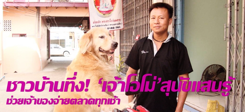 ชาวบ้านทึ่ง! 'เจ้าโอโม่' สุนัขแสนรู้ ช่วยเจ้าของจ่ายตลาดทุกเช้า