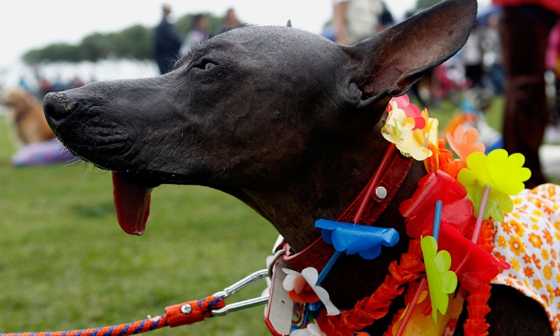 โลกาภิวัตน์ 15/10/55