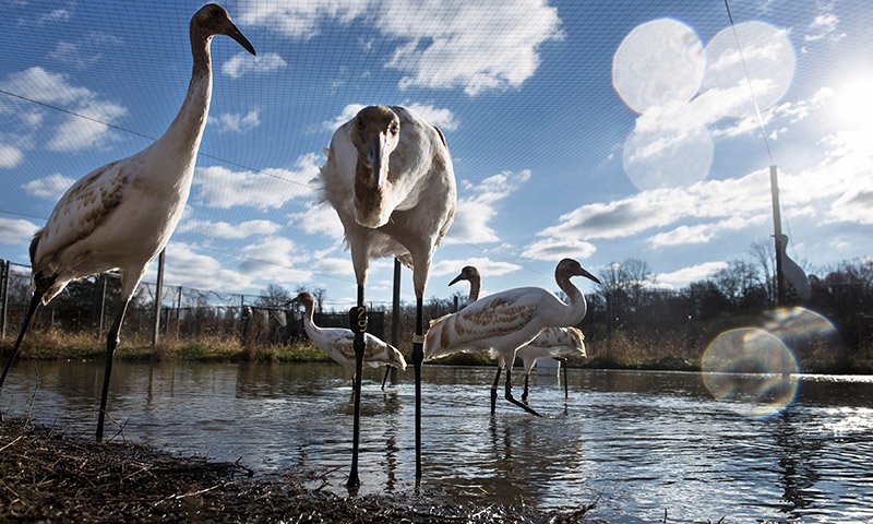 โลกาภิวัตน์ 18/12/56