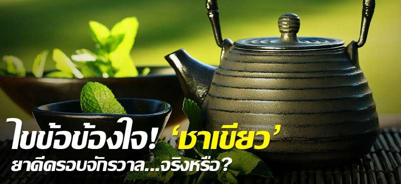 ไขข้อข้องใจ! 'ชาเขียว'ยาดีครอบจักรวาล...จริงหรือ?