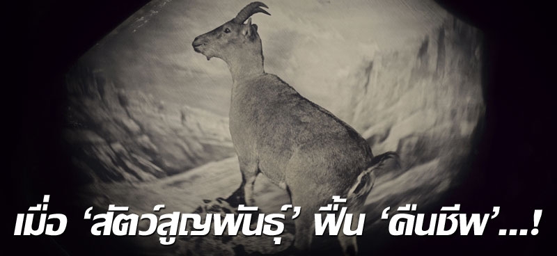 เมื่อ 'สัตว์สูญพันธุ์' ฟื้น 'คืนชีพ'...!