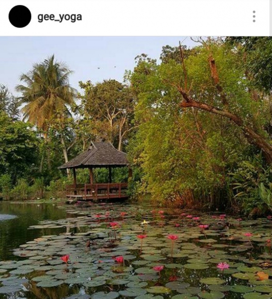 My Image 35