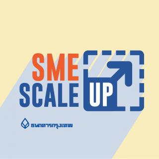 SME Scale Up Podcast