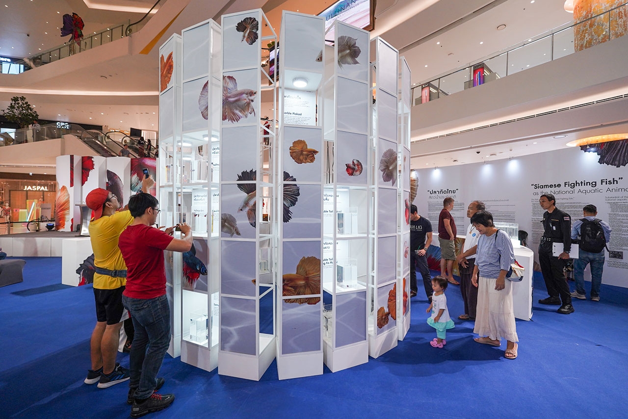 บรรยากาศภาพในงาน