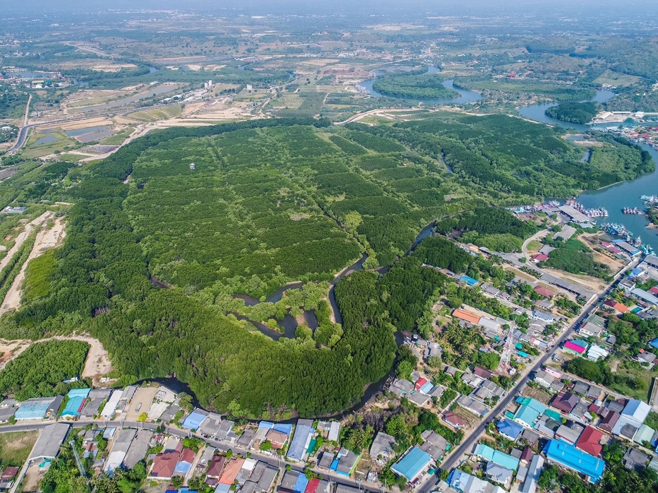 ภาพ : ศูนย์ศึกษาเรียนรู้ระบบนิเวศป่าชายเลนสิรินาถราชินี จ.ประจวบคีรีขันธ์