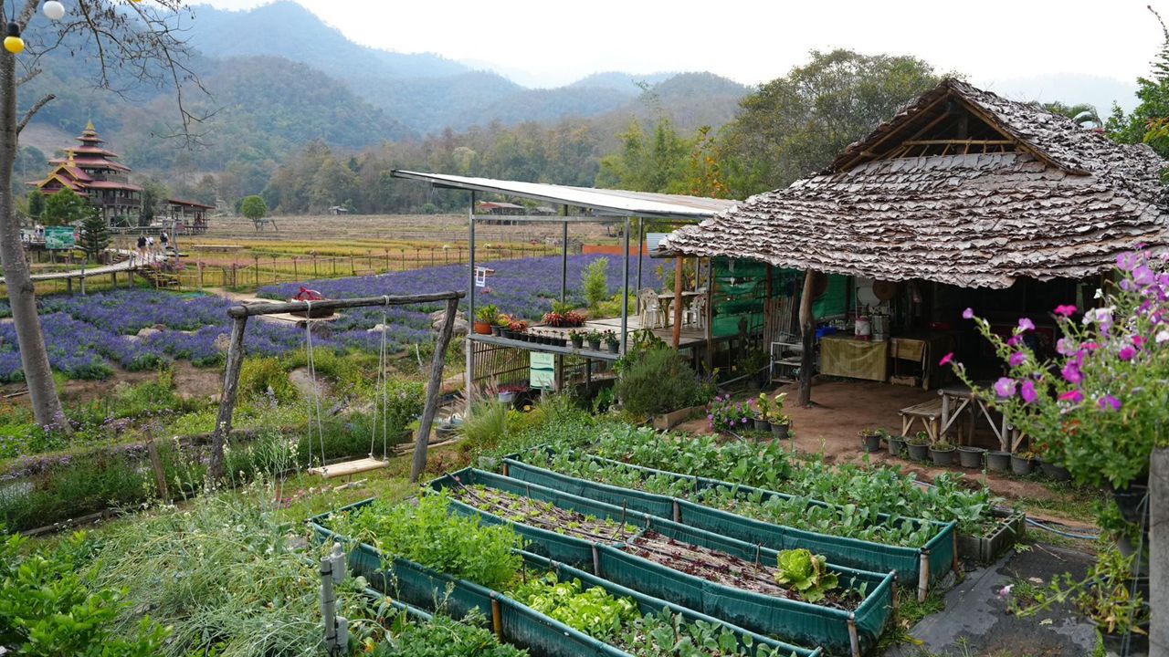 เยือนชุมชนแพมบกแม่ฮ่องสอน สัมผัส 'UNSEEN THAI THAI'