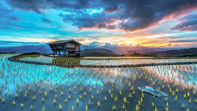 ภาพสวยๆ ภาพสวยๆ