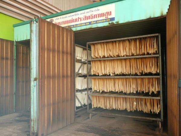 ยางสดมาแปรรูปเป็นยางแผ่นดิบ ส่งเข้าเตาอบรมควันแบบใหม่