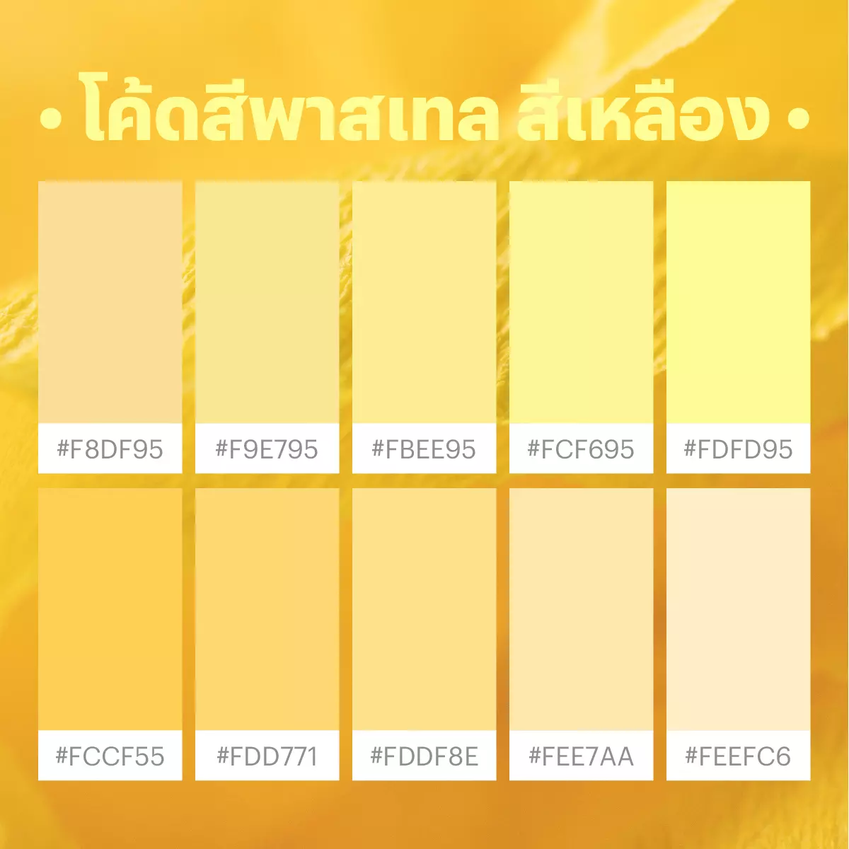 แจก 120 โค้ดสีพาสเทล สีสวยละมุน อัปเดตใหม่ ครบในที่เดียว