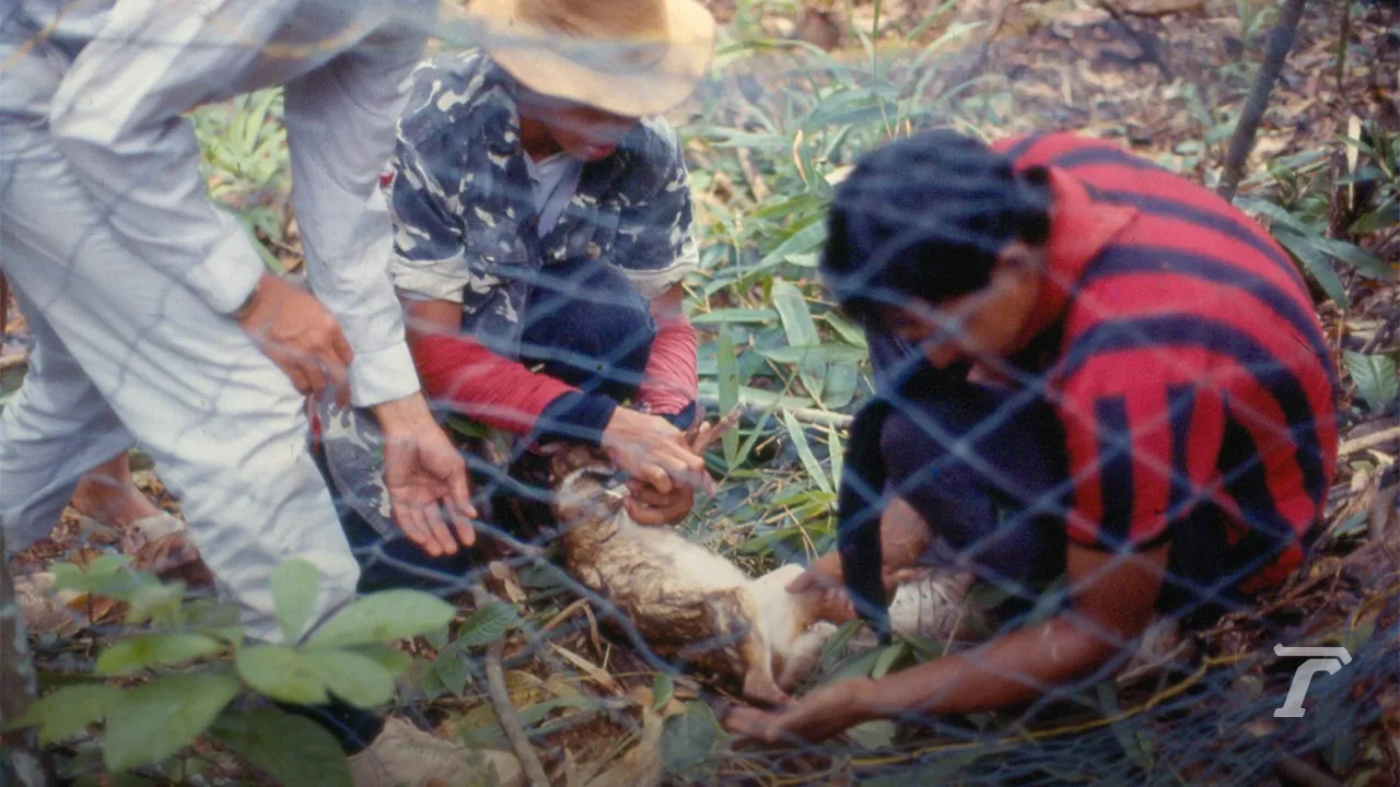 มองผ่านเลนส์ชีวิต สืบ นาคะเสถียร “ผมขอพูดในนามของสัตว์ป่า”