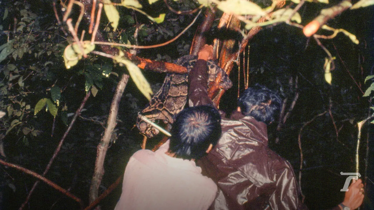 มองผ่านเลนส์ชีวิต สืบ นาคะเสถียร “ผมขอพูดในนามของสัตว์ป่า”
