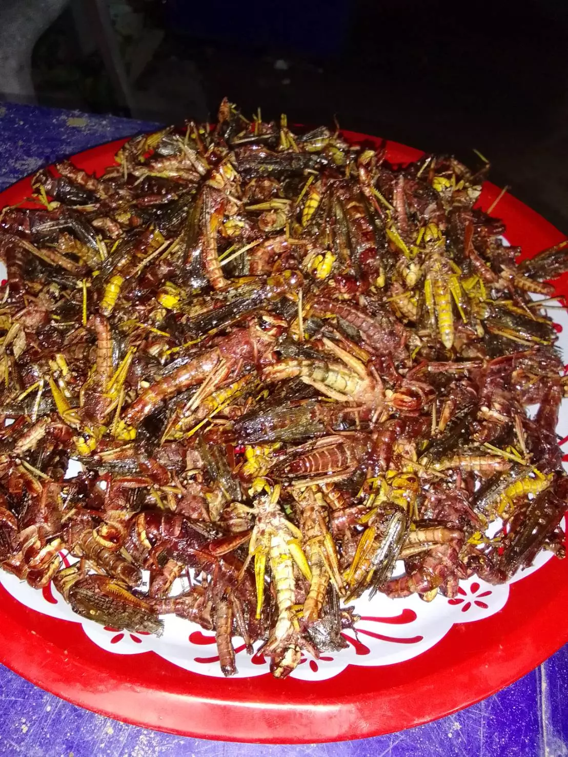 พิษโควิดปิดร้านแว่น เปิดฟาร์มตั๊กแตนปาทังก้า เคล็ดลับรายได้เดือนละแสน