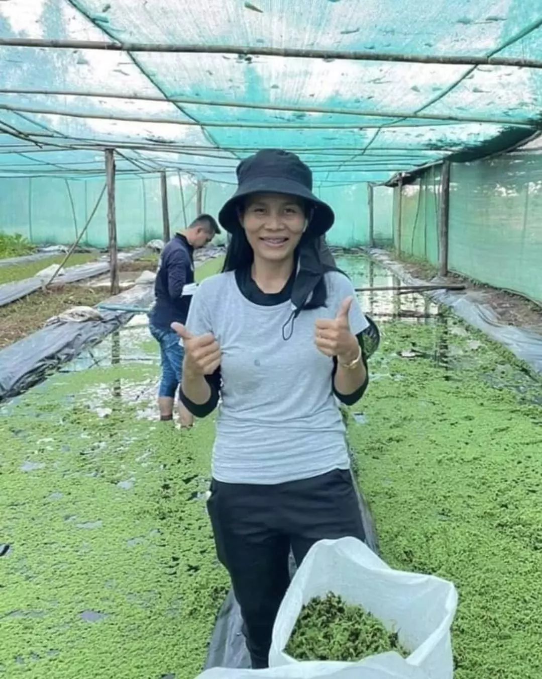 พืชน้ำทำเงิน 1 ไร่ รายได้ 30,000 บาท ปลูกผักหายาก ให้ตลาดเข้าหา