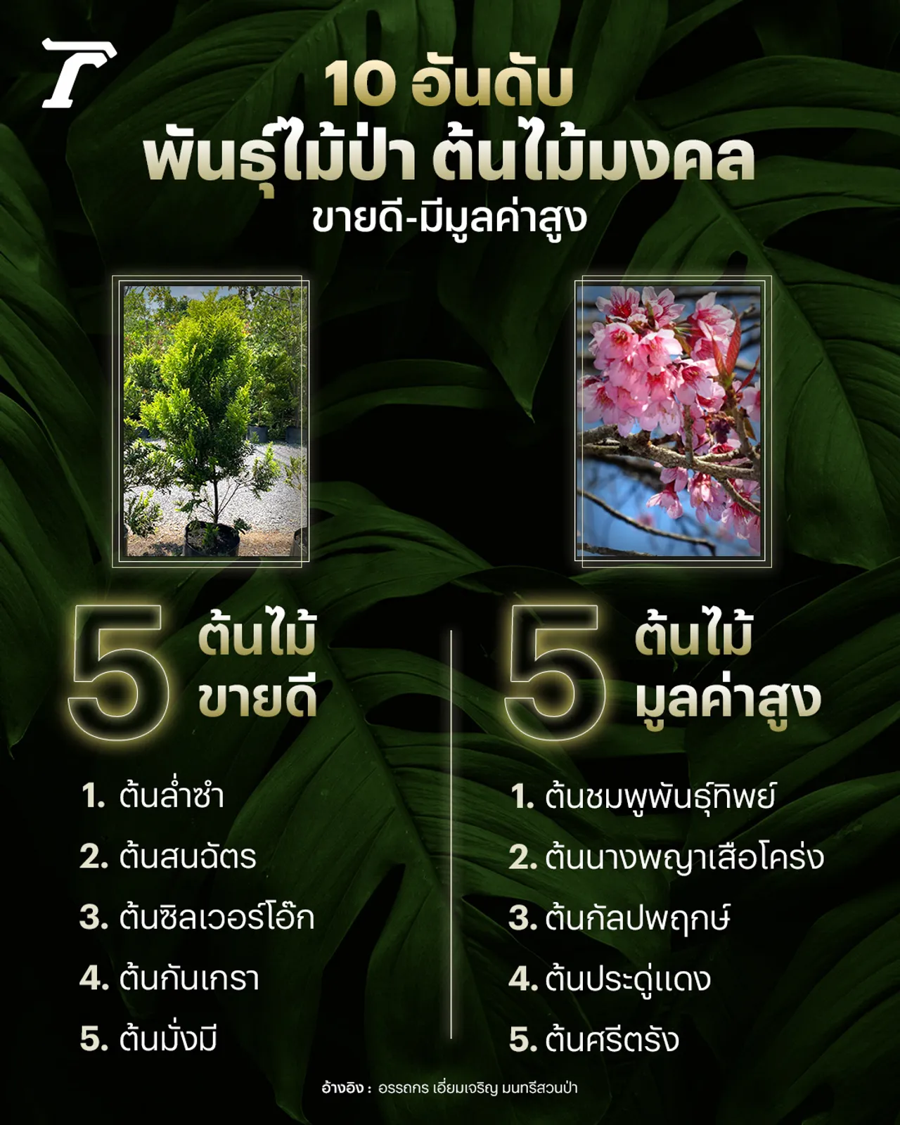 พันธุ์ไม้ป่า-ต้นไม้มงคล หนุ่มการตลาดขายเล่นๆ ได้ 2 แสน จริงจัง 30 ล้าน