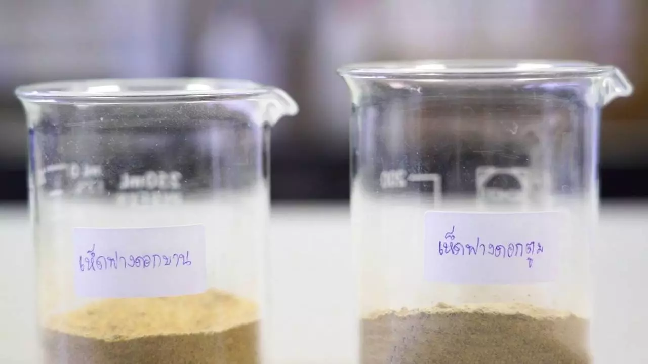 กรมวิชาการเกษตร เพิ่มมูลค่าเห็ดฟาง นำมาสกัดสารโปรตีนเป็นวัตถุดิบโลชั่นบำรุงผิว