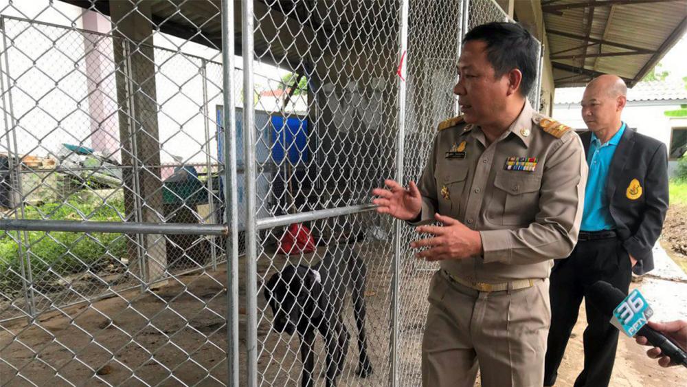 “ร.10” ทรง โปรดเกล้าฯ ให้เจ้าหน้าที่แผนกสัตวบาลจากสำนักพระราชวัง ไปรับสุนัข 13 เกรทเดน อดอยากผอมโซ ไปรักษากับฟื้นฟู เป็นสุนัขใน พระบรมราชานุเคราะห์