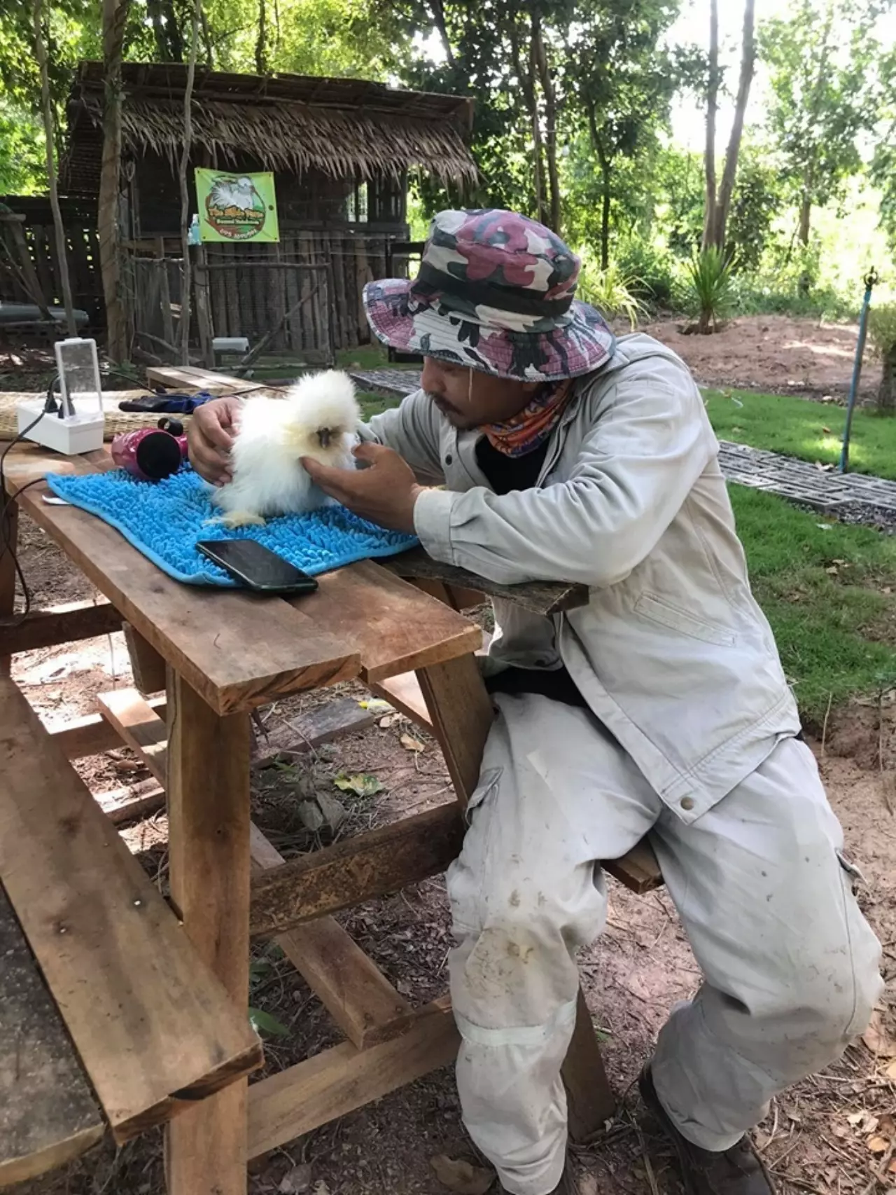 เกษตรกรผัวหาบเมียคอน เลี้ยง "ไก่ซิลกี้" ชิลๆ อาชีพทำเงิน เดือนละ 6 หมื่น